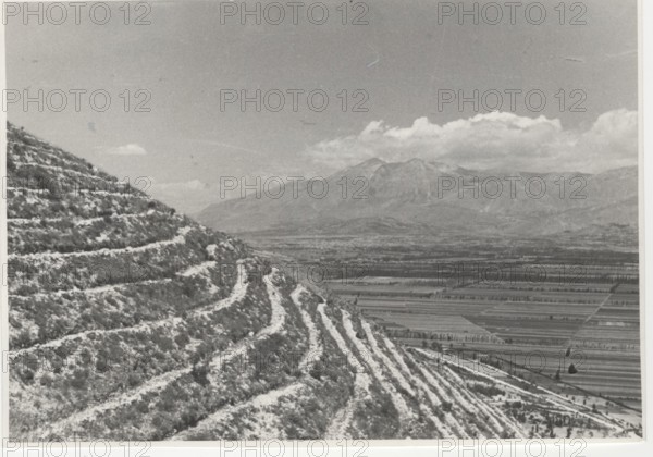 Luco dei Marsi reforestation