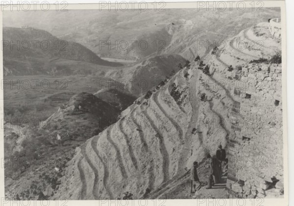 Reforestation works in Abruzzo
