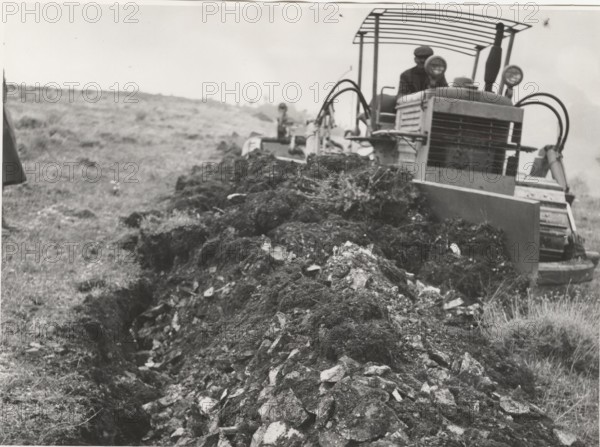Reforestation a tractor machine preparing the field