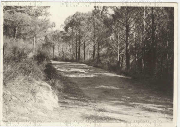 Agro Palermitano a new road crossing recently seeded fields. Palermo, Sicily, Italy