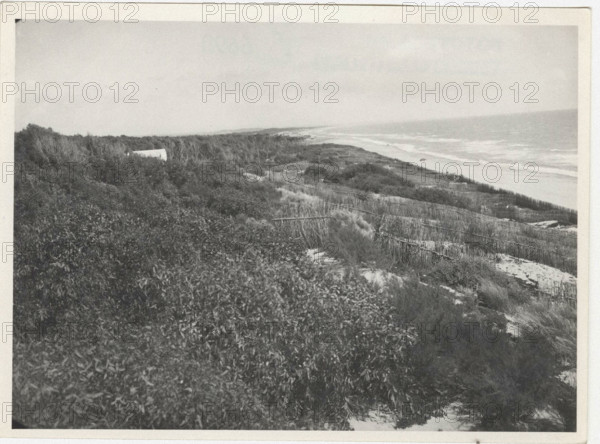 Dune fixation works. Siracusa, Sicily, Italy