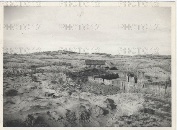 Dune fixation works. Balestrate, Italy