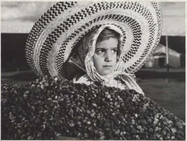 A young Brazilian farmer selecting the ripest coffee beans