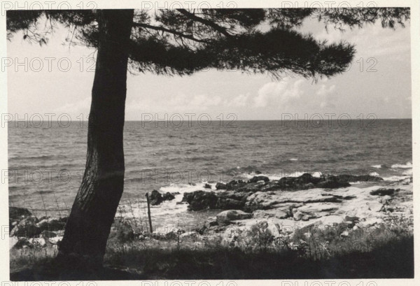 Cliff. Salvore, Croatia,