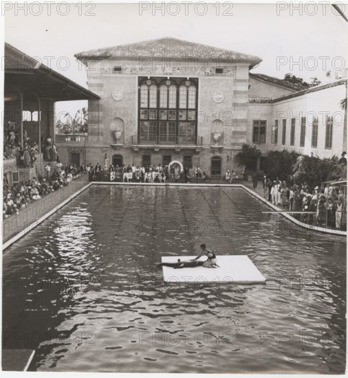 A man puts a fierce crocodile to sleep with gentle strokes. Miami, Florida, United States,