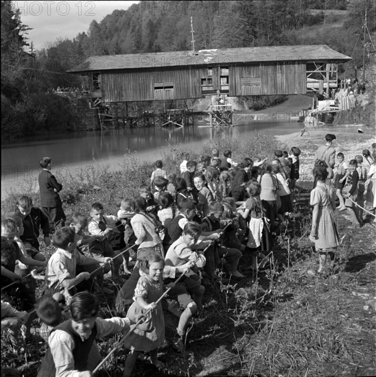 Children helping to displace an old wooden bridge; 1952.