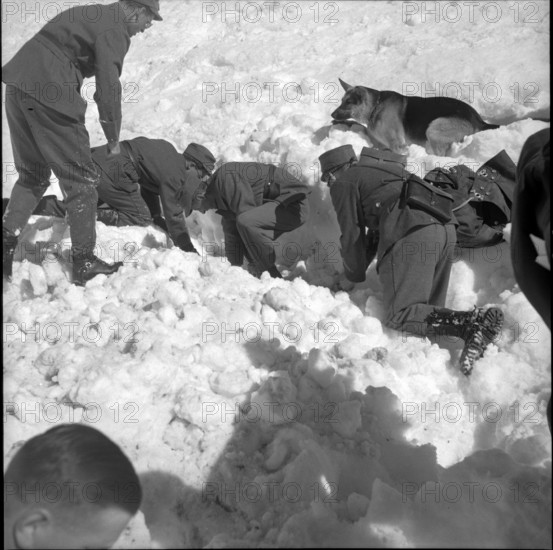 Search party with dog on avalanche, Grindelwald 1951.