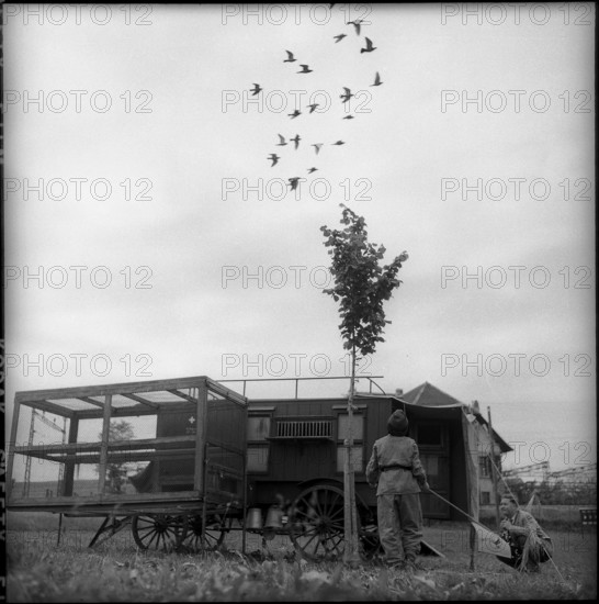 Woman soldier observing flock of pigeons, Fribourg 1962.