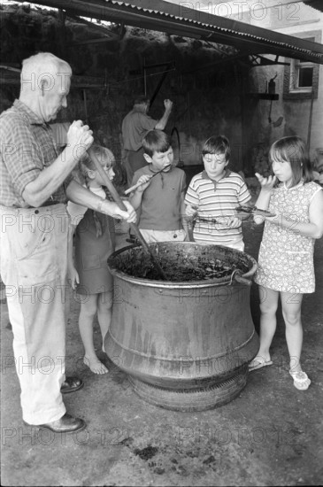 Kirschmueset in Wimmis 1970; Children try the pulp.