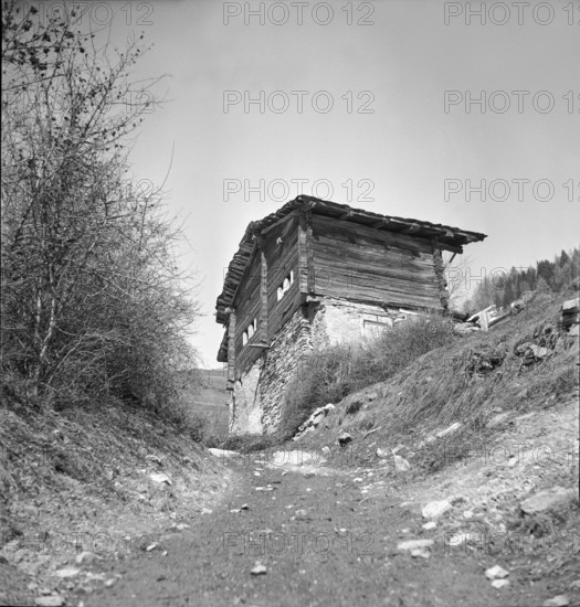 Wooden house in the Valais village Albinen; 1941.