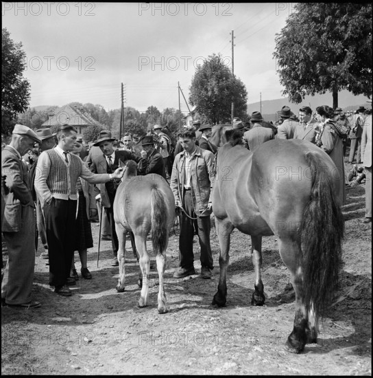 Horse market of Chaindon-Reconvilier, 1952.