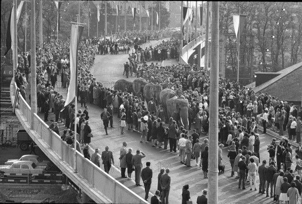 Basle, procession, inauguration of Luzernerring bridge; 1965.