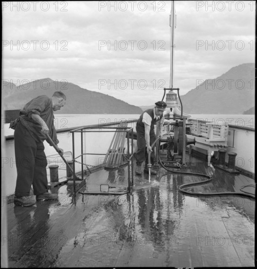 Boatman cleaning the deck after cattle transport, 1941.