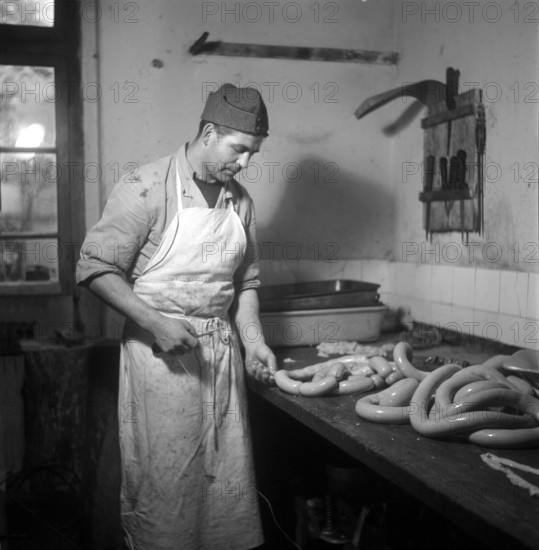 Medical orderly, assignment in civilian professions, butcher; 1939.