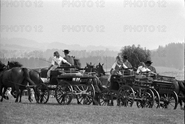 66th Marche-Concours Saignelegier, 1969.