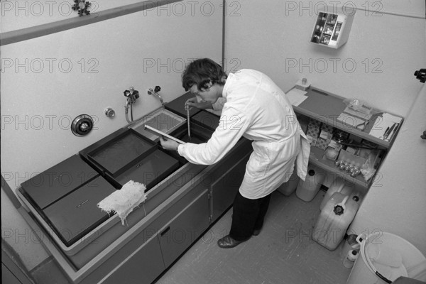 Ringier Bilderdienst: darkroom, 1969.