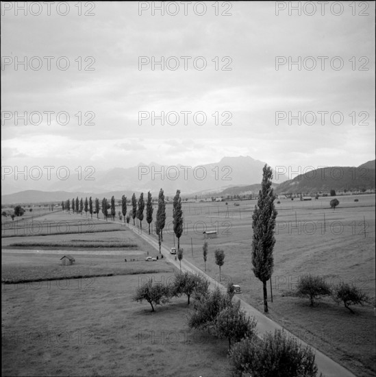 Rheintal near Altstatten, 1954.