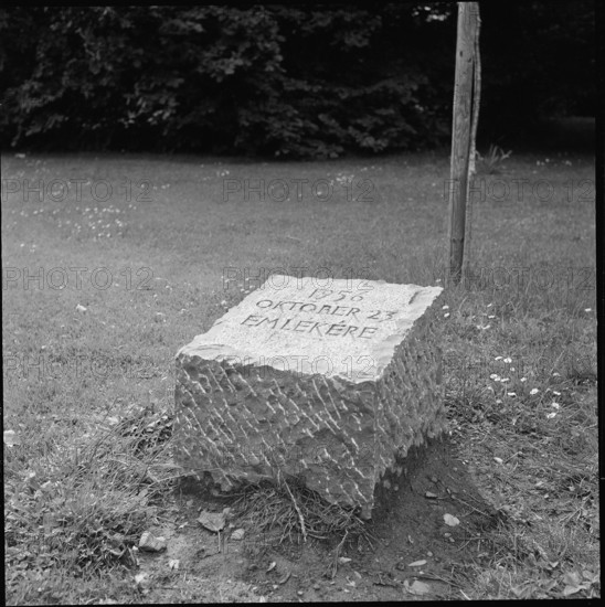 Memorial stone for revolt in Hungary 1956, Schadaupark Thun 1958.