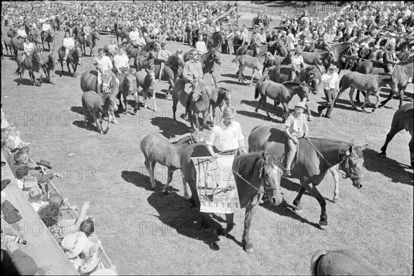 60th Marche-Concours Saignelegier, protest, 1963.