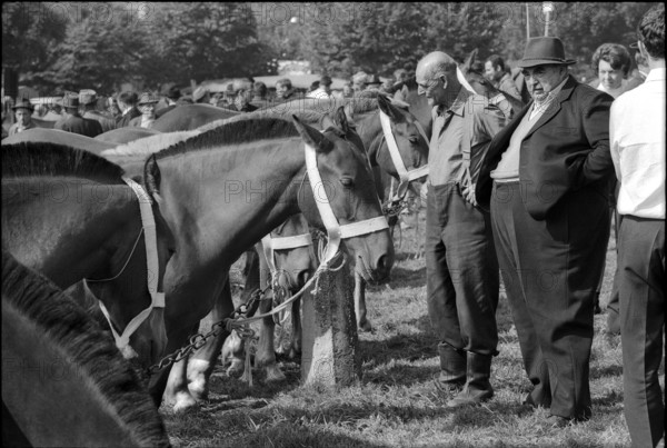 Horse market of Chaindon-Reconvilier, 1969.