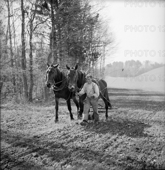 Illens FR: boy leading horse and cart; 1952.