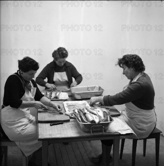 Preparing whitefish at the Lake Constance, 1957.
