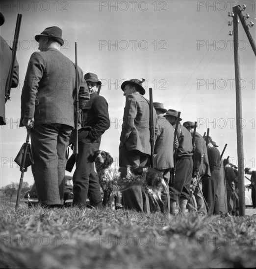 Hunting wild boars in Elgg, 1950.