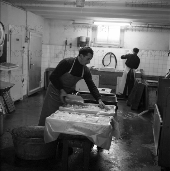 Preparing whitefish at the Lake Constance, 1957.