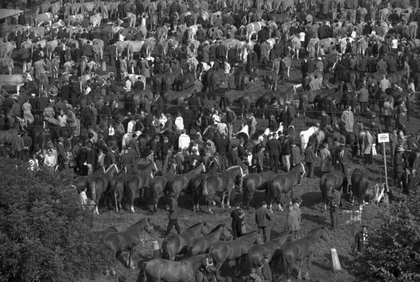 Horse market of Chaindon-Reconvilier, 1969.