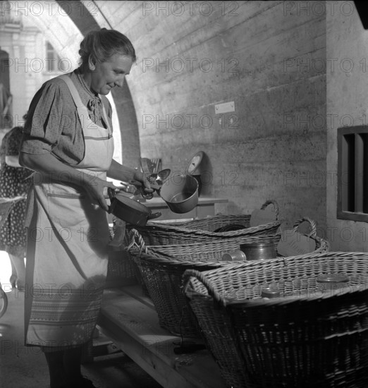 Gathering natural produce for Swiss donation, 1945.