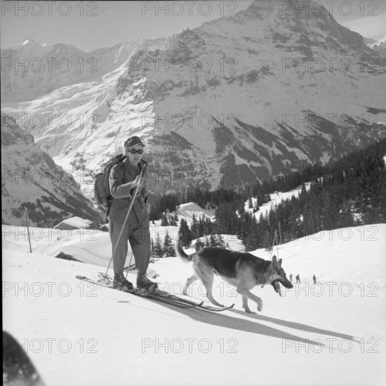 Soldier with avalanche dog, Grindelwald 1951.