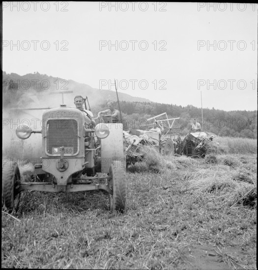 WW 2: oat crop, Allmend 1942.