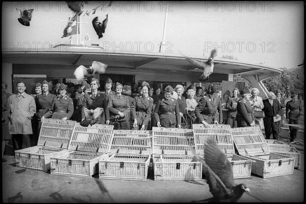 Women soldiers with carrier pigeons, performance on excursion boat, Zurich 1967.