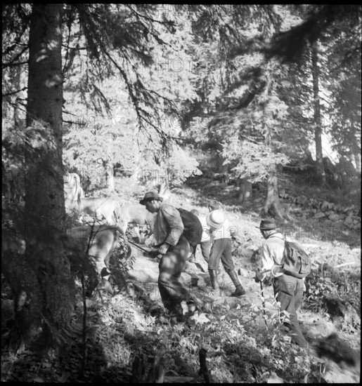 Saanen 1940; On the way to the mountain festival.