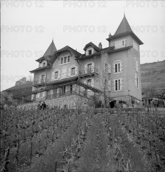 Mise des vins de la ville de Lausanne, wine auction, 1954.