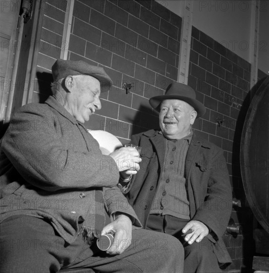 Mise des vins de la ville de Lausanne, wine auction: degustation, 1955.