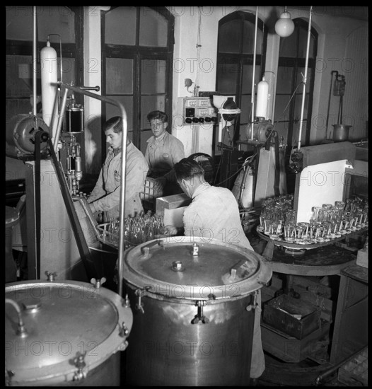 Coca-Cola Berne, workers, bottling plant, bottle, 1949.