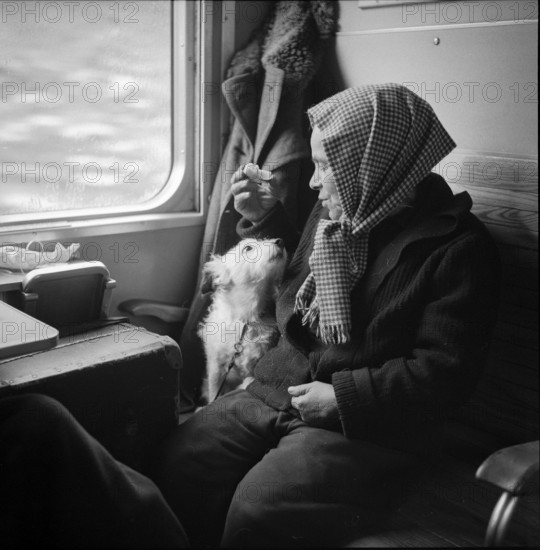 Refugee train, Mrs Wegmann with dog named Boby 1956.