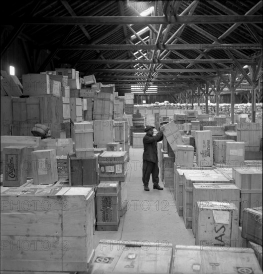 Warehouse of the Swiss donation organization, 1945.