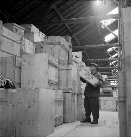Warehouse of the Swiss donation organization, 1945.