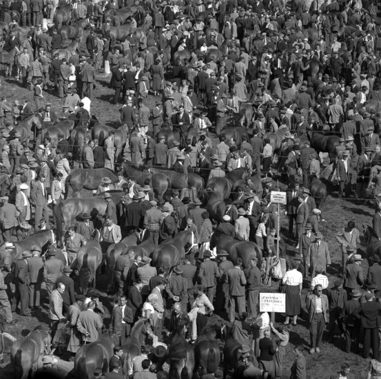 Horse market of Chaindon-Reconvilier, 1959.