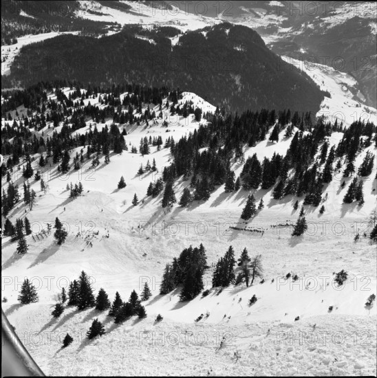 Piz Scalotta, soldiers searching for buried avalanche victims; 1961.
