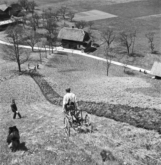 Mountain farmer ploughing.