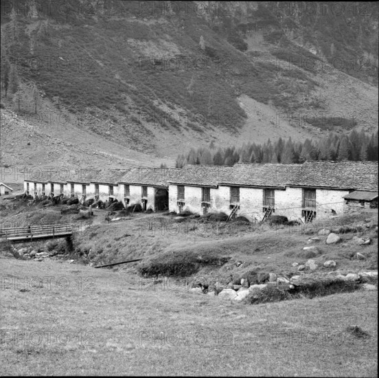 Walser Dorf Bosco Gurin, storehouse, barn; 1956.