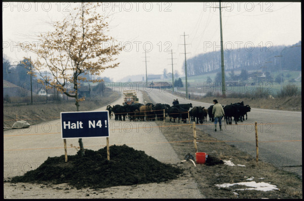 Protest agains N4: drove on the highway, Sauliamt 1984.