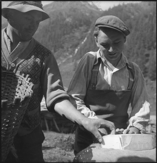 Farmers in the Turtmanntal valley, Switzerland, 1940.