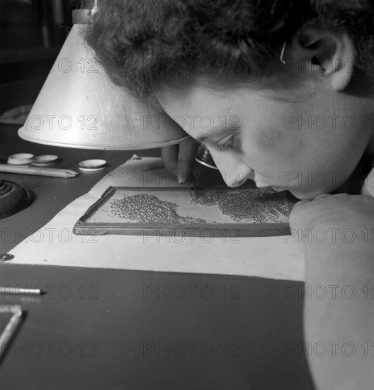 Volleges VS; Ebauches SA, watchmaking industry worker;  1953.