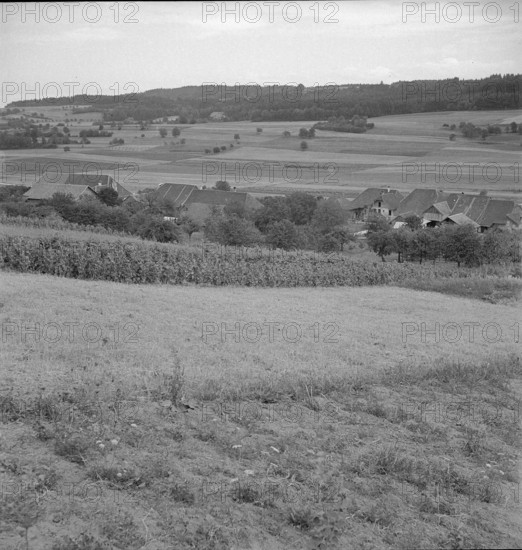 Champmartin; farming village.
