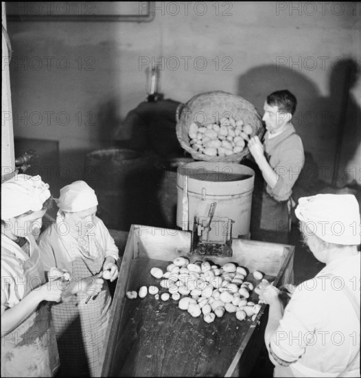 Smashed potatoes; bread dough additive; 1943.