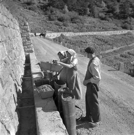 Heidenwein: vintage at Hohtenn mountainside, 1956.